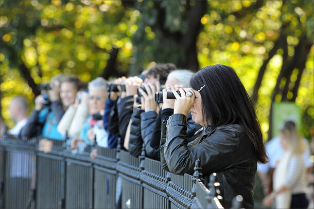 A group of birders stand in a row, resting their elbows on a fence and hold binoculars up to their eyes.