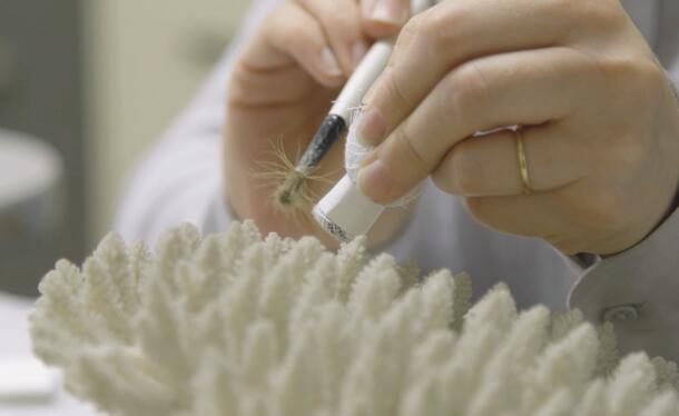 Hands hold a brush and tiny suction device over a coral specimen.