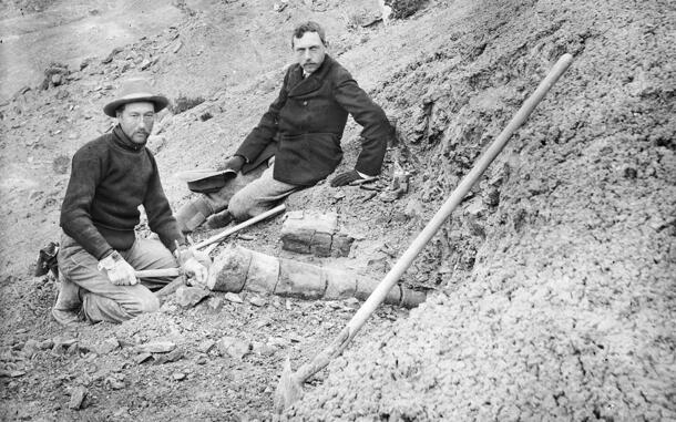 Barnum Brown wears a hat, holds a pick-axe, and kneels next to large fossilized bones; Henry Osborn, hat in hand, sits nearby.
