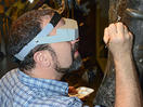 Fossil Dinosaur Femur Finally Gets Its Number