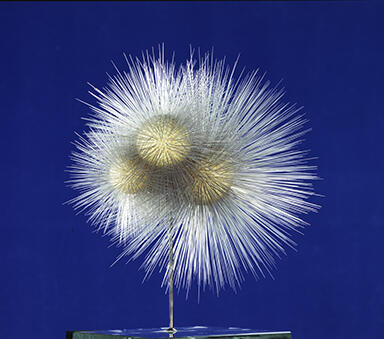 glass model of Globigerina bulloides, a foram with hundreds of long white spikes