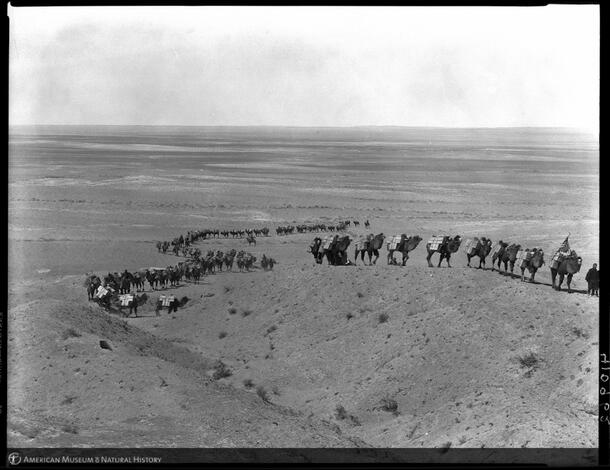 Camel Caravan 1928 