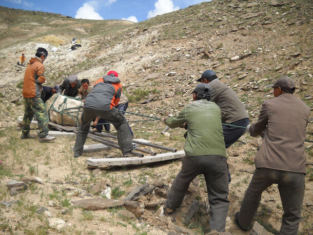 Group of nine people pulling ropes attached to a large rock on a wood plank frame through scrubby rocky terrain.