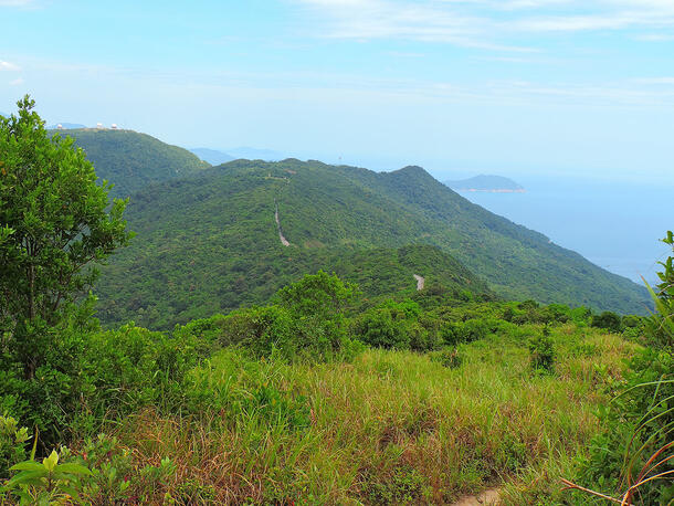 Lush hills full of grass and trees, with coastline visible in right background.