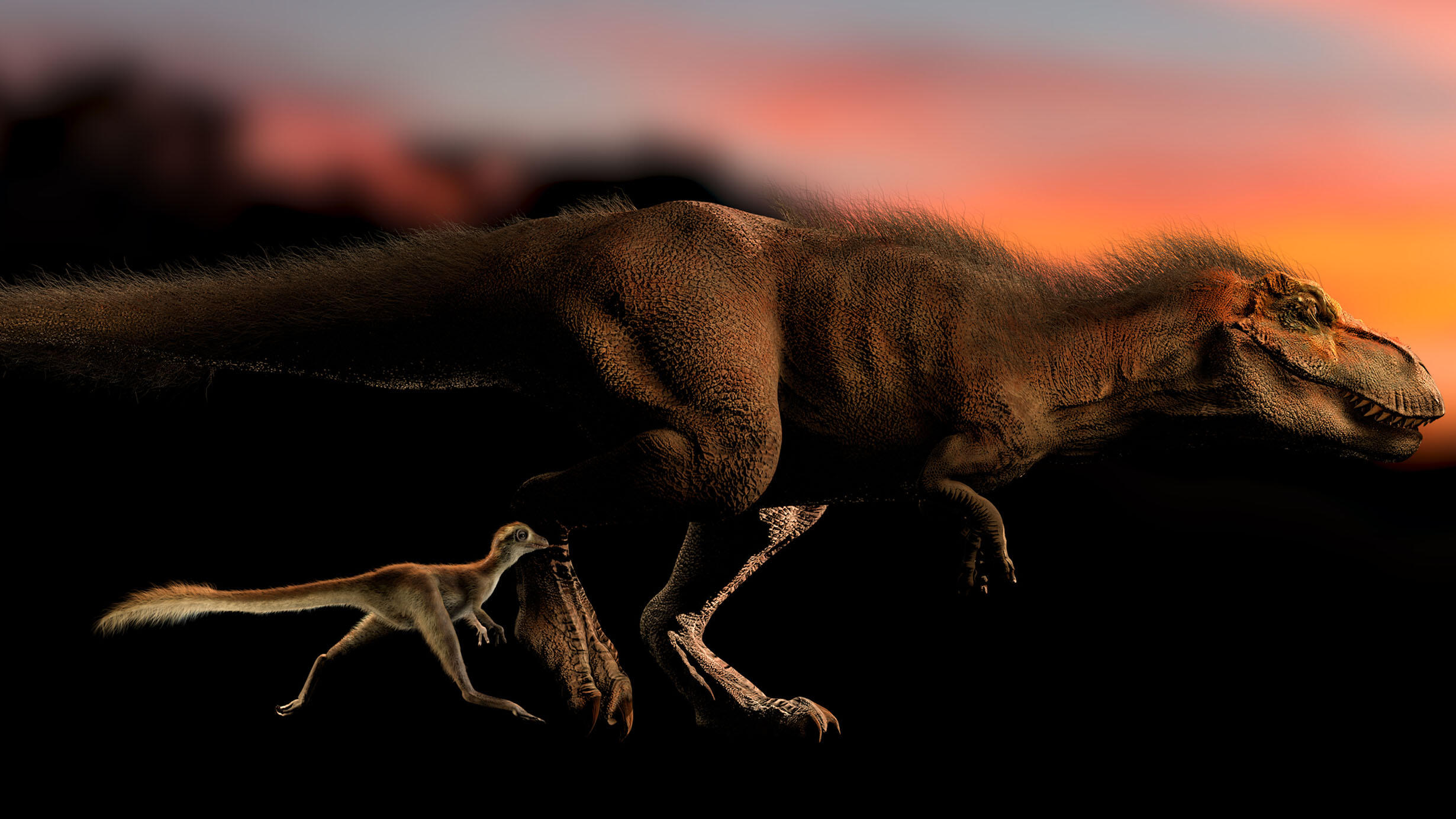 Animated illustration of adult and hatchling Tyrannosaurus rex.
