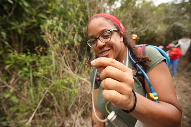 Museum scientist Jessica Ware, in the field in Guyana, holds a red dragonfly.