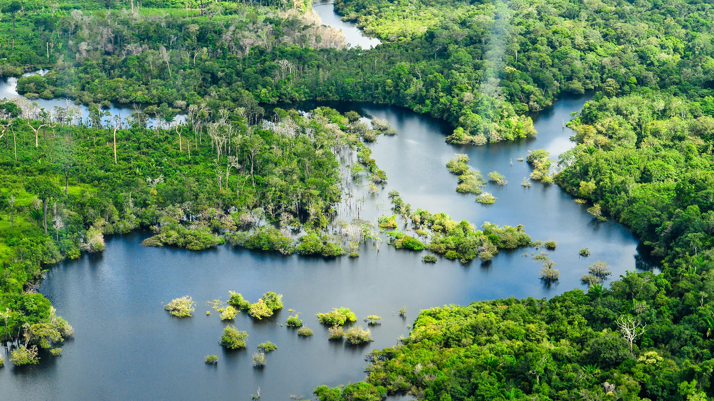 Aerial view of Amazon Rainforest with multiple waterways.