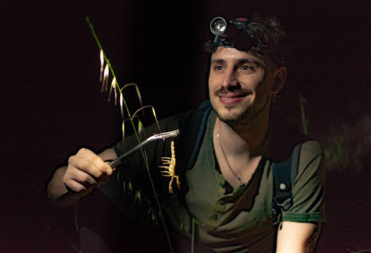 Javier Blasco-Aróstegui wearing a head lamp and holding a scorpion by the tail using a long tool.