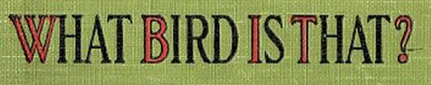 A cloth book cover reads: "What bird is that?"