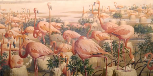 Birding Artists Video Flamingoes