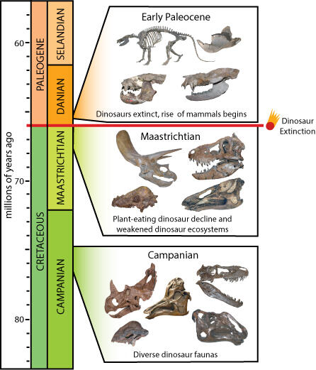 Dinosaur Extinction Timeline