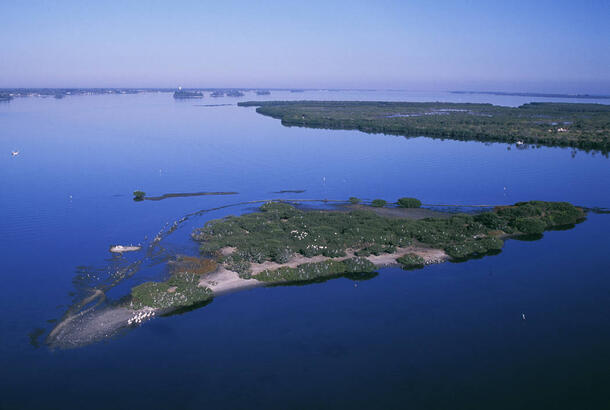 Pelican Island NWR, in the Intercoastal Waterway.