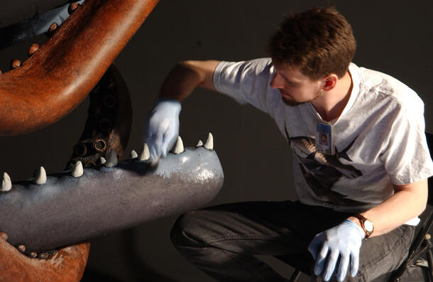In the Museum’s Milstein Hall of Ocean Life, a man wearing rubber gloves sits beside and cleans the inside lower jaw and teeth of the whale in the Giant Squid and Sperm Whale diorama.