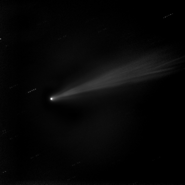 Comet ISON 11/19/2013