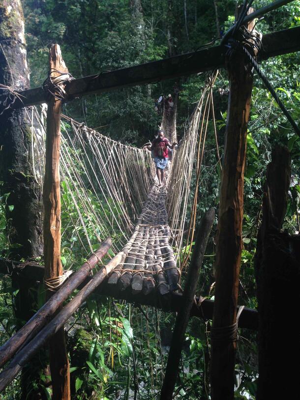 Medium wide shot of a person walking toward the camera on a narrow suspension bridge made of rope and wood in a tall green forest.