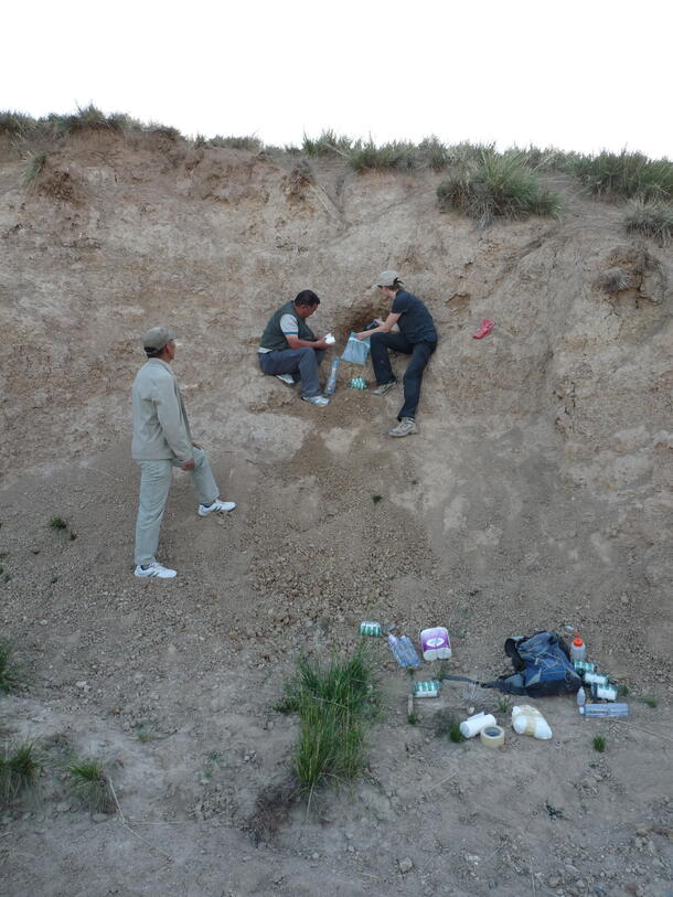 Two people collecting specimens in a small plastic bag on a dirt hillside while a third person stands and watches nearby.