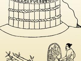 line art illustration of person boiling the plants to pound them to a pulp or soggy mass.