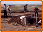 team of scientists digging
