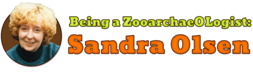 Being a Zooarchaeologist: Sandra Olsen