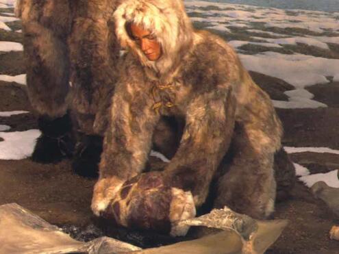 early human wearing animal fur clothes crouching over large piece of meat