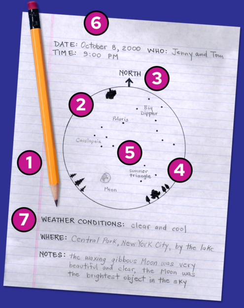 A pencil and a sheet of lined paper. On the paper are field notes and a diagram of the night sky showing the moon, stars and trees.