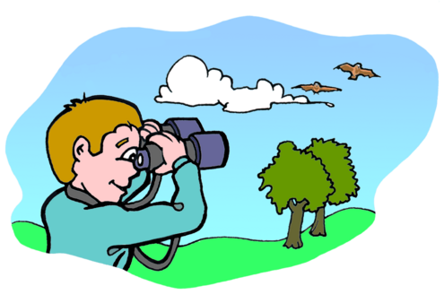 drawing of a boy looking through binoculars at two birds flying above two trees in a field.
