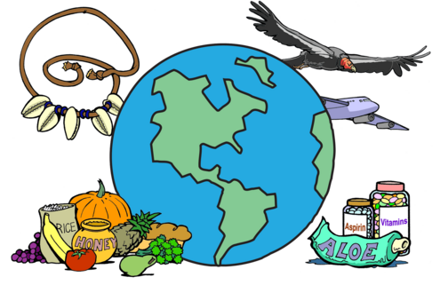 drawing of earth, surrounded by medicine, a cowry shell necklace, a condor, an airplane, and a pile of rice, bread, honey, fruits and vegetables. 