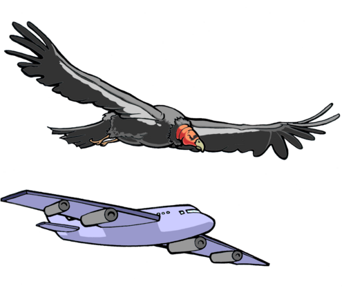 drawing of a flying vulture and a jet plane, showing their similar body and wing positions.