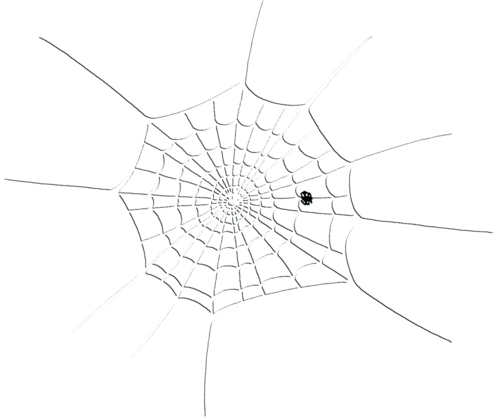 drawing of a web with a small spider near the bottom of it. 