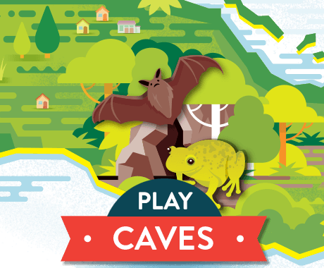 Play Caves