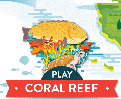 Play Coral Reef