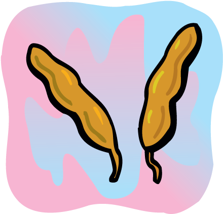 Cartoon of two tamarind pods against a multicolor background.