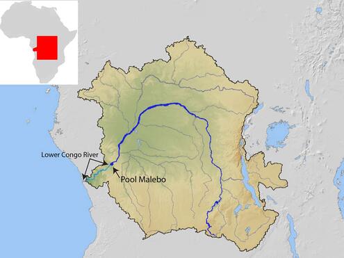 Map showing the Congo River with the locations of Pool Malebo and the Lower Congo River labeled
