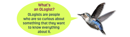 What's an OLogist? OLogists are people who are so curious about something that they want to know everything about it. 