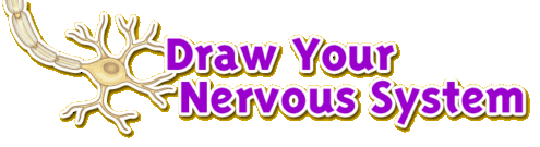 Draw your Nervous System