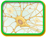 Illustration of connecting neurons with a central, oval-shape with many long, spidery branchlike lines leading out of the center.