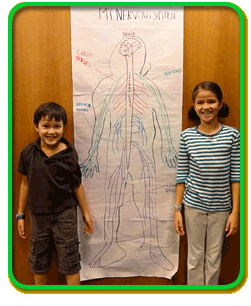 Two children stand beside a large piece of paper on a wall which has an illustration of an outlined person and their labeled nervous system on it.