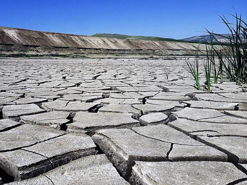 Effects of drought on soil in Algeria