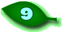 A graphic of an oval-shaped leaf containing the number nine.