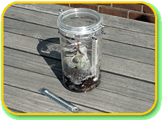 A small clear cylindrical container on a wood tabletop outdoors.