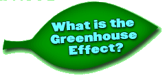 A graphic of an oval-shaped leaf containing the words "what is the greenhouse effect."