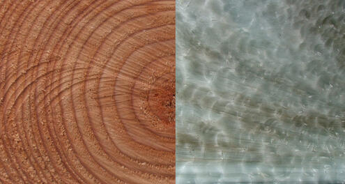 Composite image showing tree rings and layers of a glacier