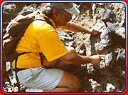 Ed examining rock cliff