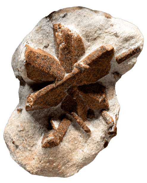 brown star shaped mineral in white mineral
