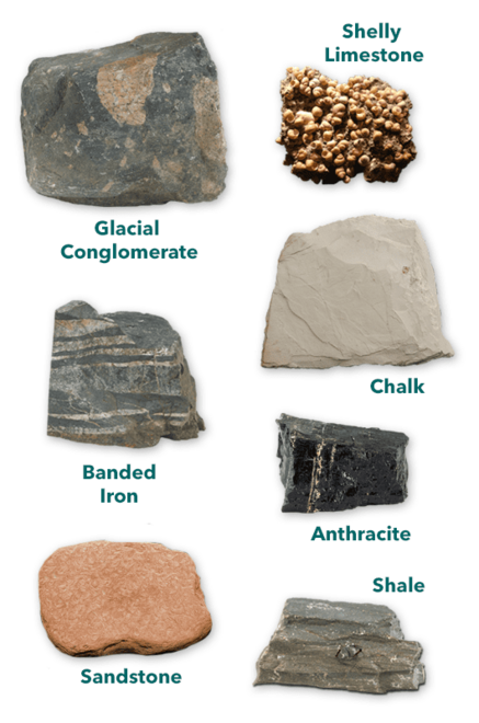 rocks including glacial conglomerate, sandstone, shale, chalk, Shelly limestone, anthracite, and banded iron