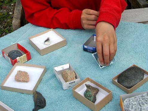 placing rocks into separate containers