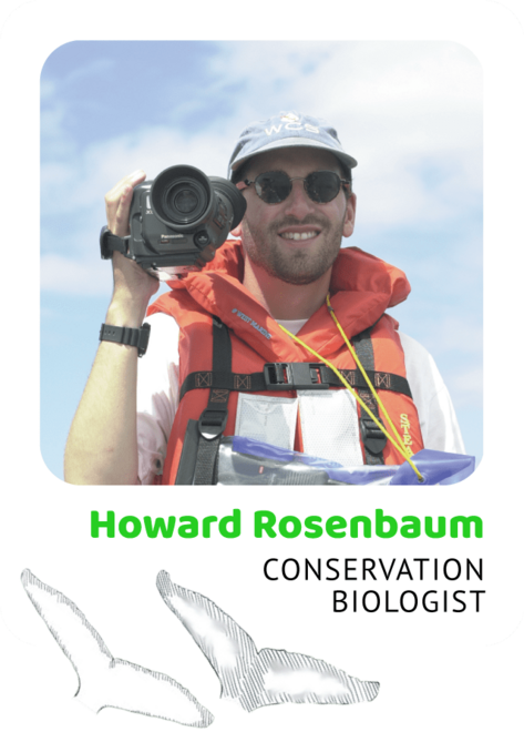 Photo of Howard Rosenbaum, Conservation Biologist and a drawing of humpback flukes