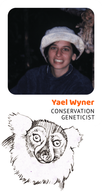Photo of Yael Wyner, Conservation Geneticist and a drawing of a ruffed lemur