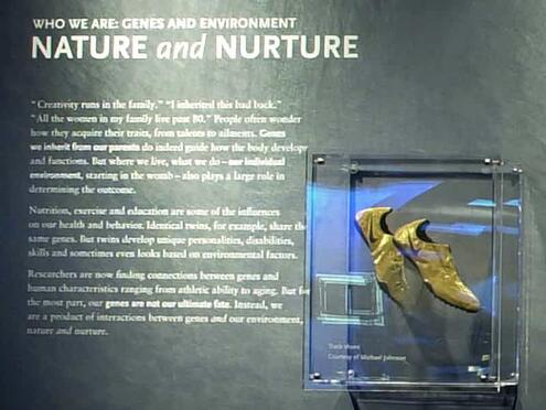 shot of exhibit's Nature Nurture wall with gold shoes in case