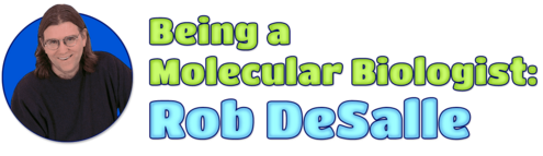 Being a Molecular Biologist: Rob DeSalle